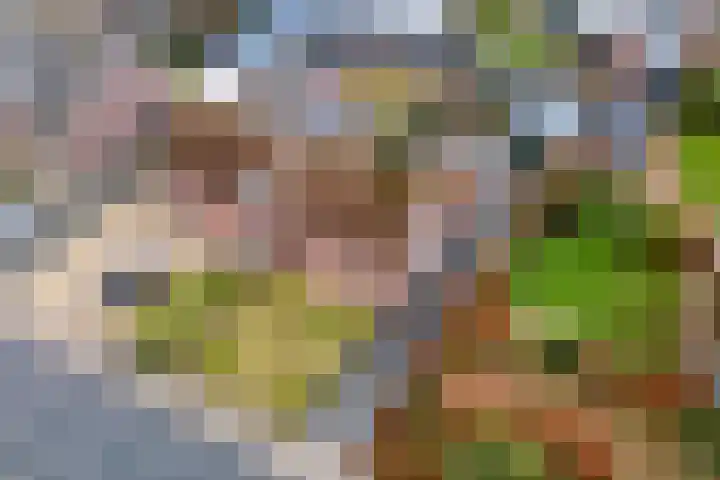 Homoetsestraat 14 Maurik thumbnail 4