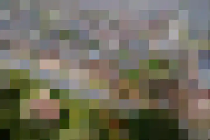 Homoetsestraat 14 Maurik thumbnail 43