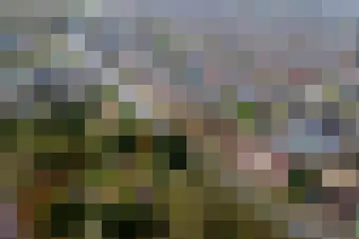 Homoetsestraat 14 Maurik thumbnail 44