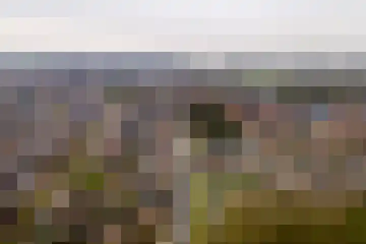 Homoetsestraat 14 Maurik thumbnail 45