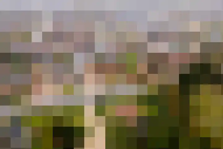 Homoetsestraat 14 Maurik thumbnail 46