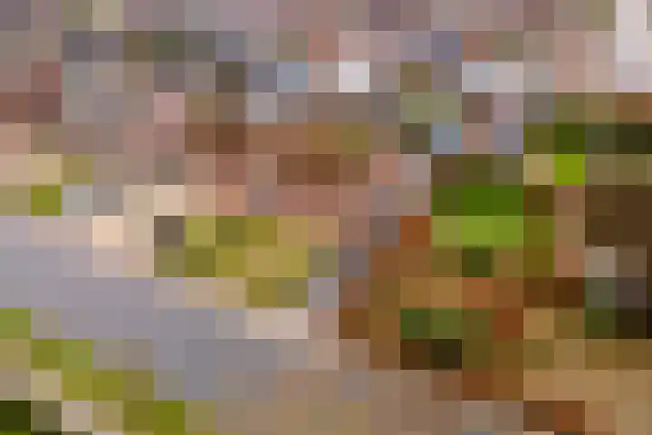 Homoetsestraat 14 Maurik thumbnail 47