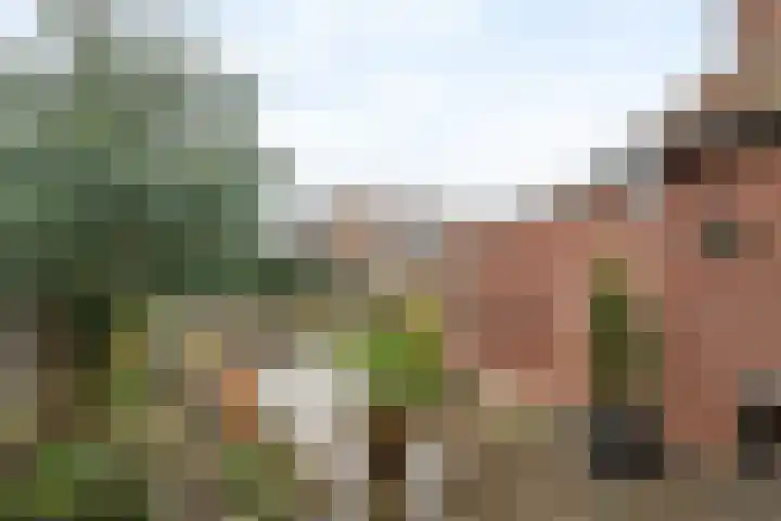 Homoetsestraat 14 Maurik thumbnail 8
