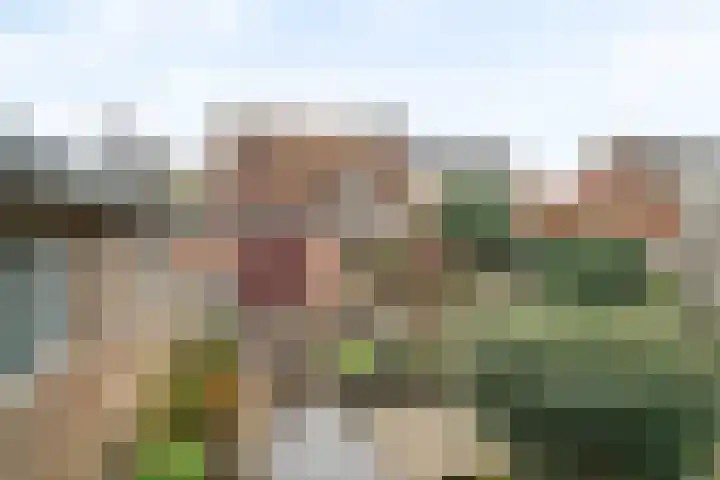 Homoetsestraat 14 Maurik thumbnail 9