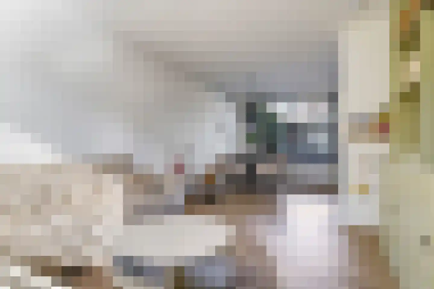 Homoetstraat 26 Doornenburg thumbnail 15
