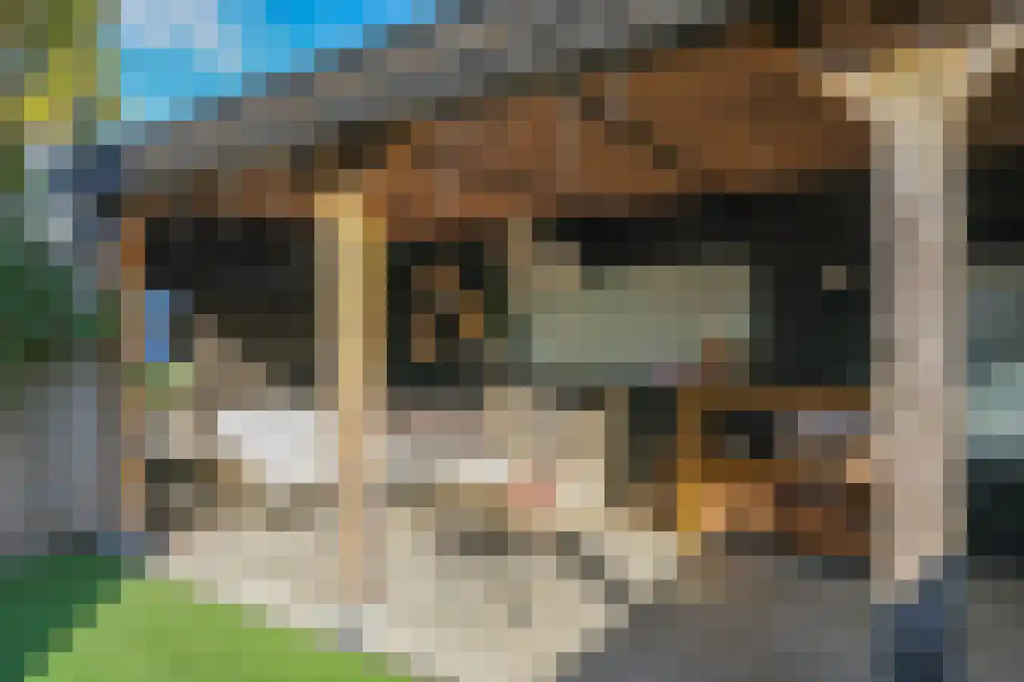 Homoetstraat 26 Doornenburg thumbnail 33