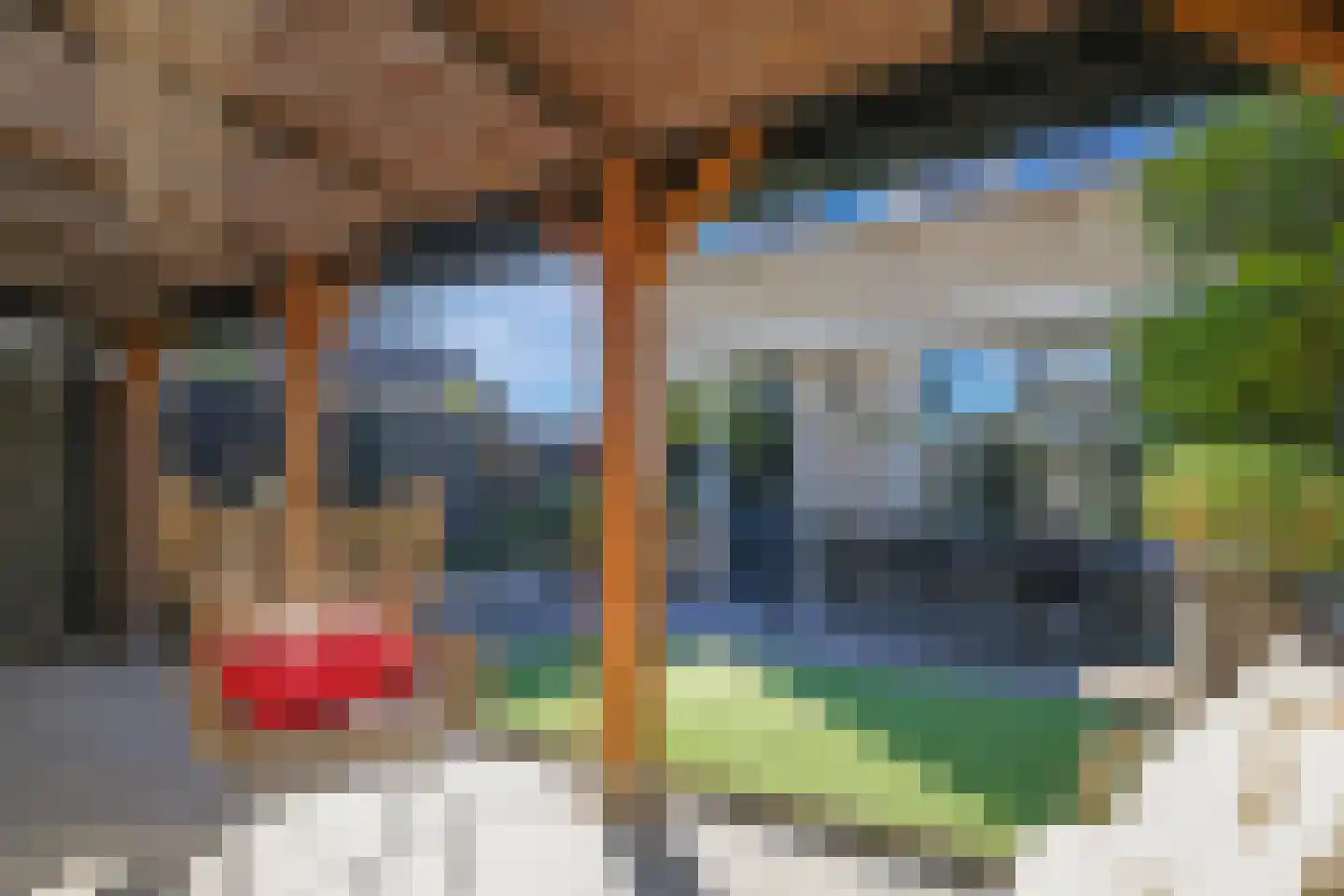 Homoetstraat 26 Doornenburg thumbnail 4