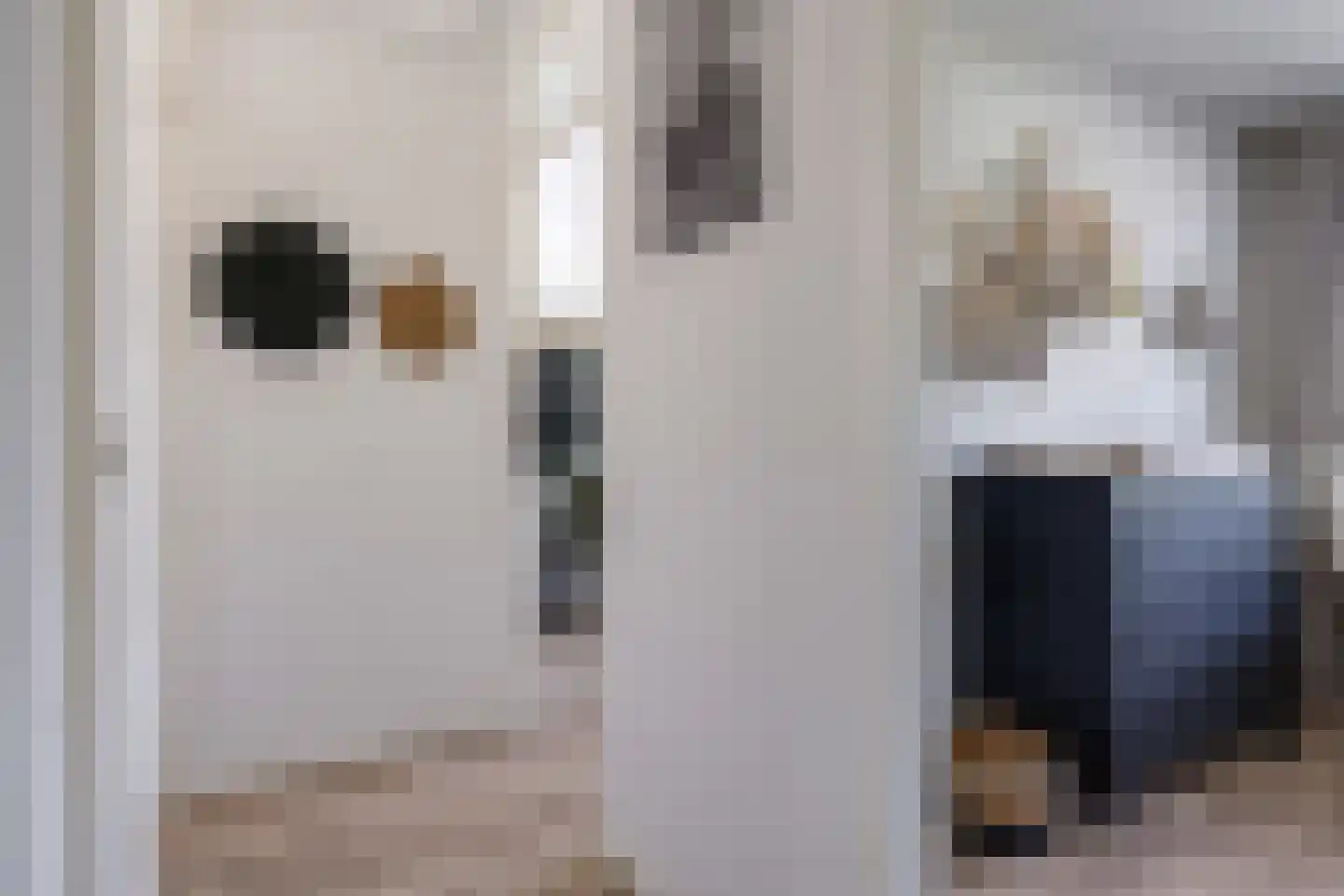 Homoetstraat 26 Doornenburg thumbnail 40