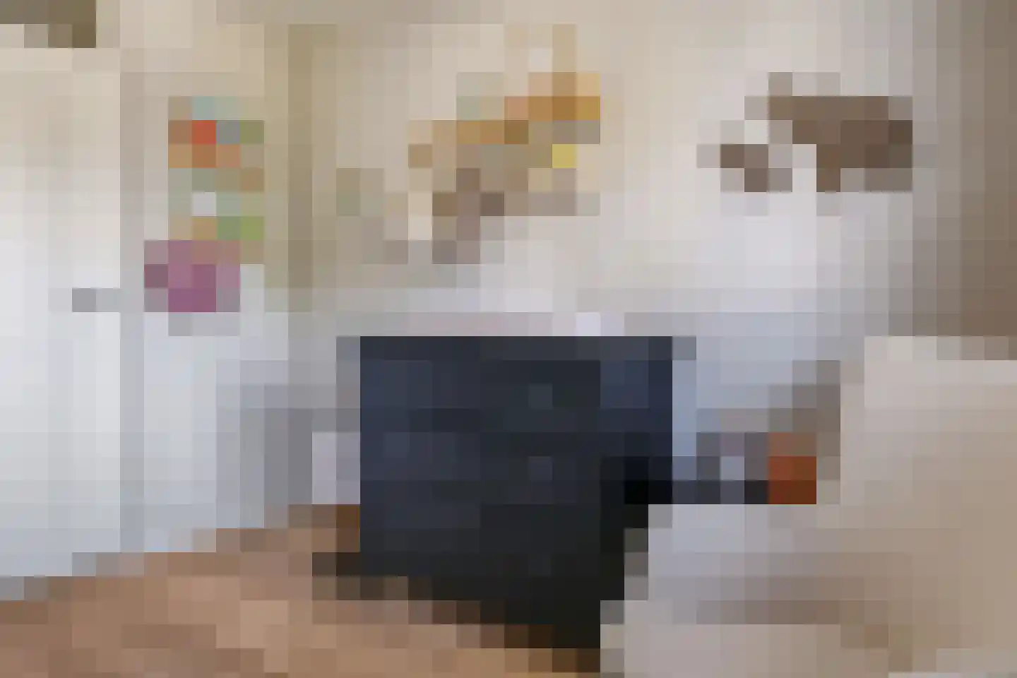 Homoetstraat 26 Doornenburg thumbnail 43