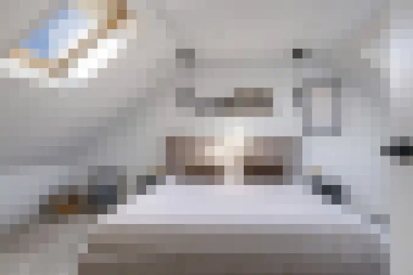 Homoetstraat 26 Doornenburg thumbnail 5