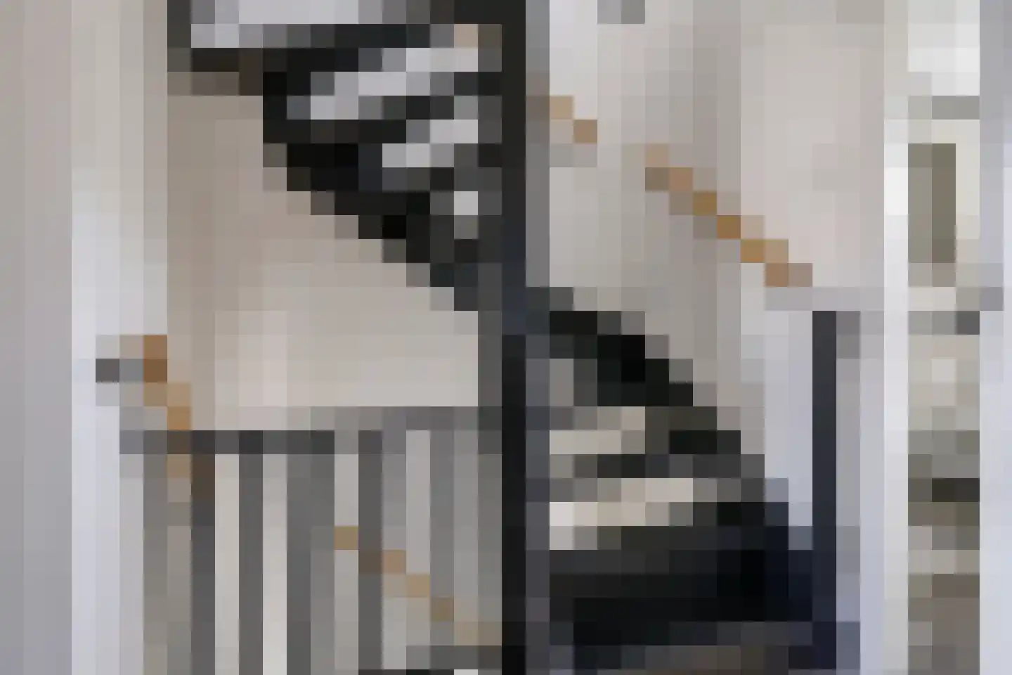 Homoetstraat 26 Doornenburg thumbnail 52