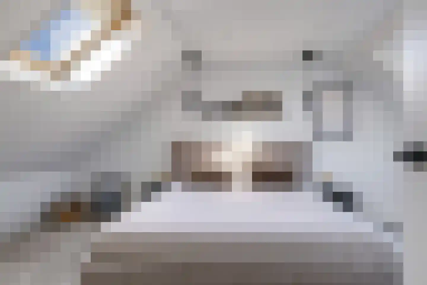 Homoetstraat 26 Doornenburg thumbnail 55