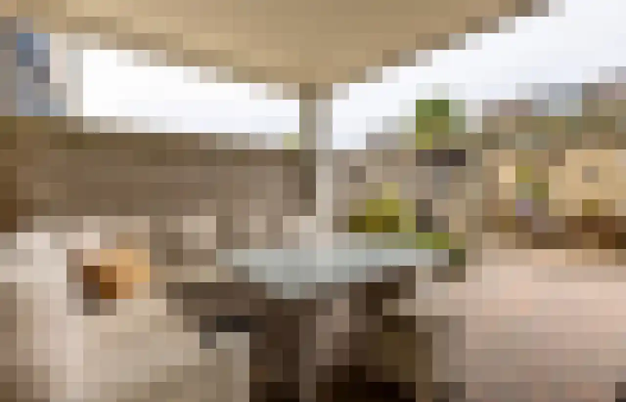 Homoetstraat 38 Doornenburg thumbnail 24