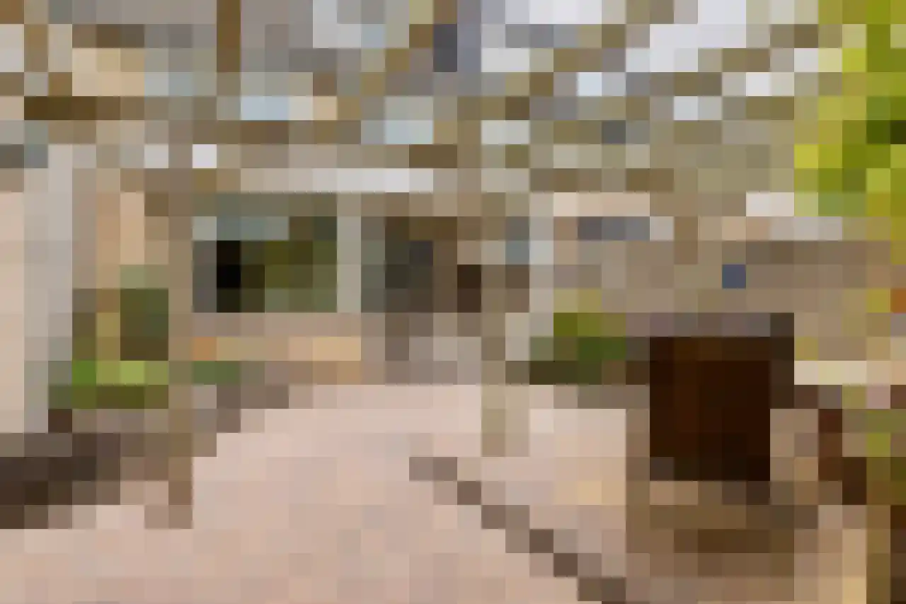 Homoetstraat 38 Doornenburg thumbnail 28