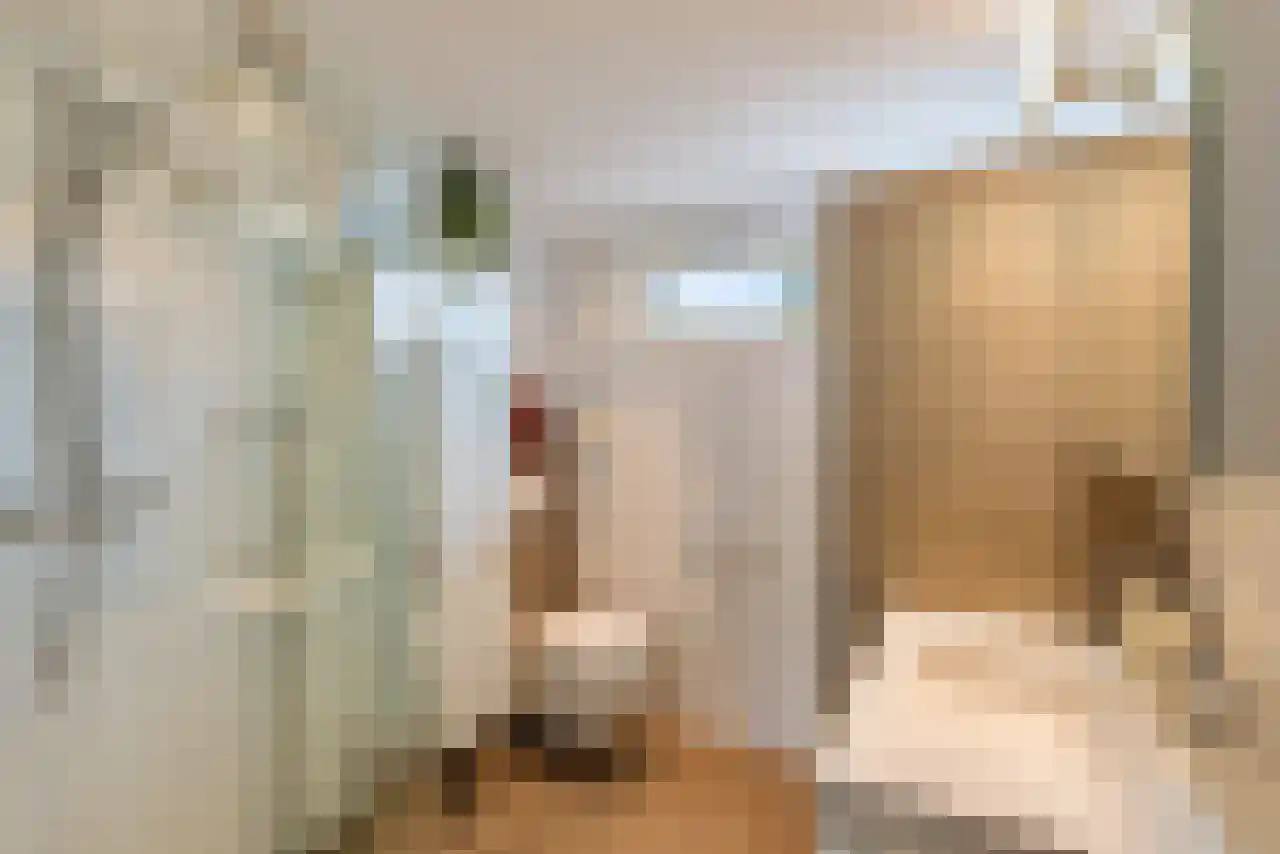 Homoetstraat 38 Doornenburg thumbnail 33