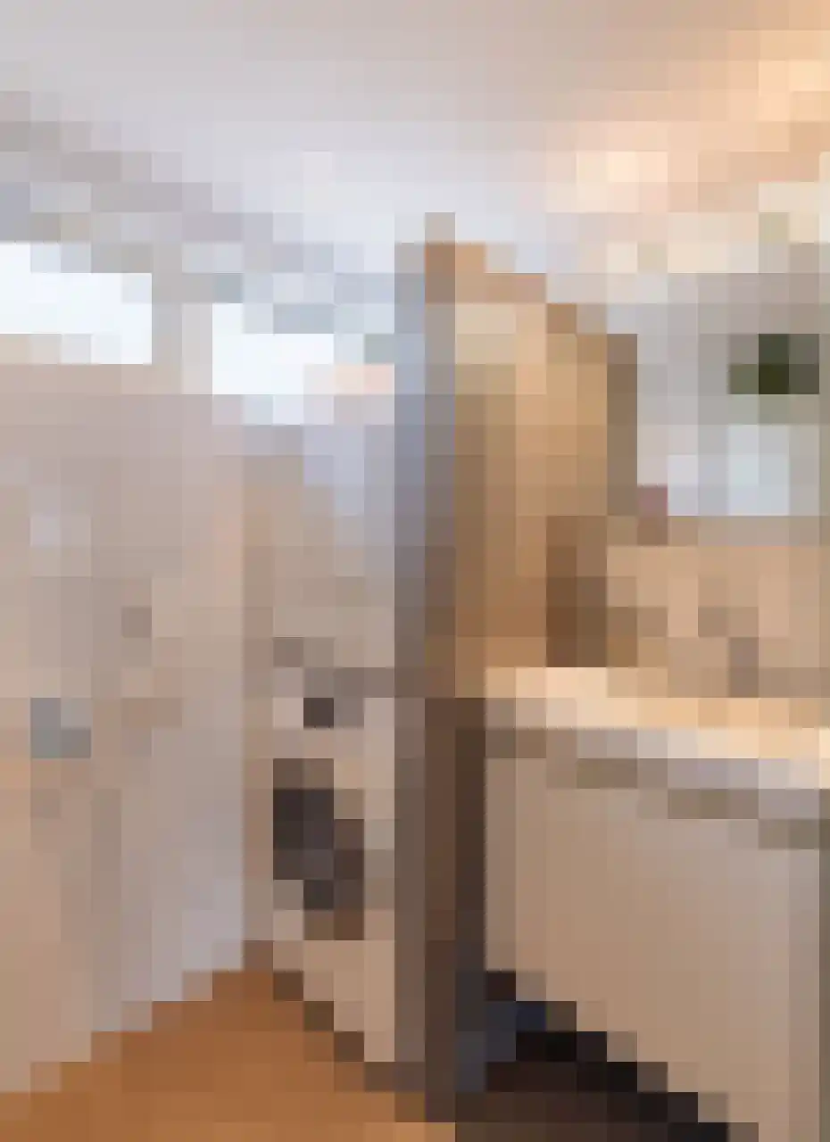 Homoetstraat 38 Doornenburg thumbnail 35