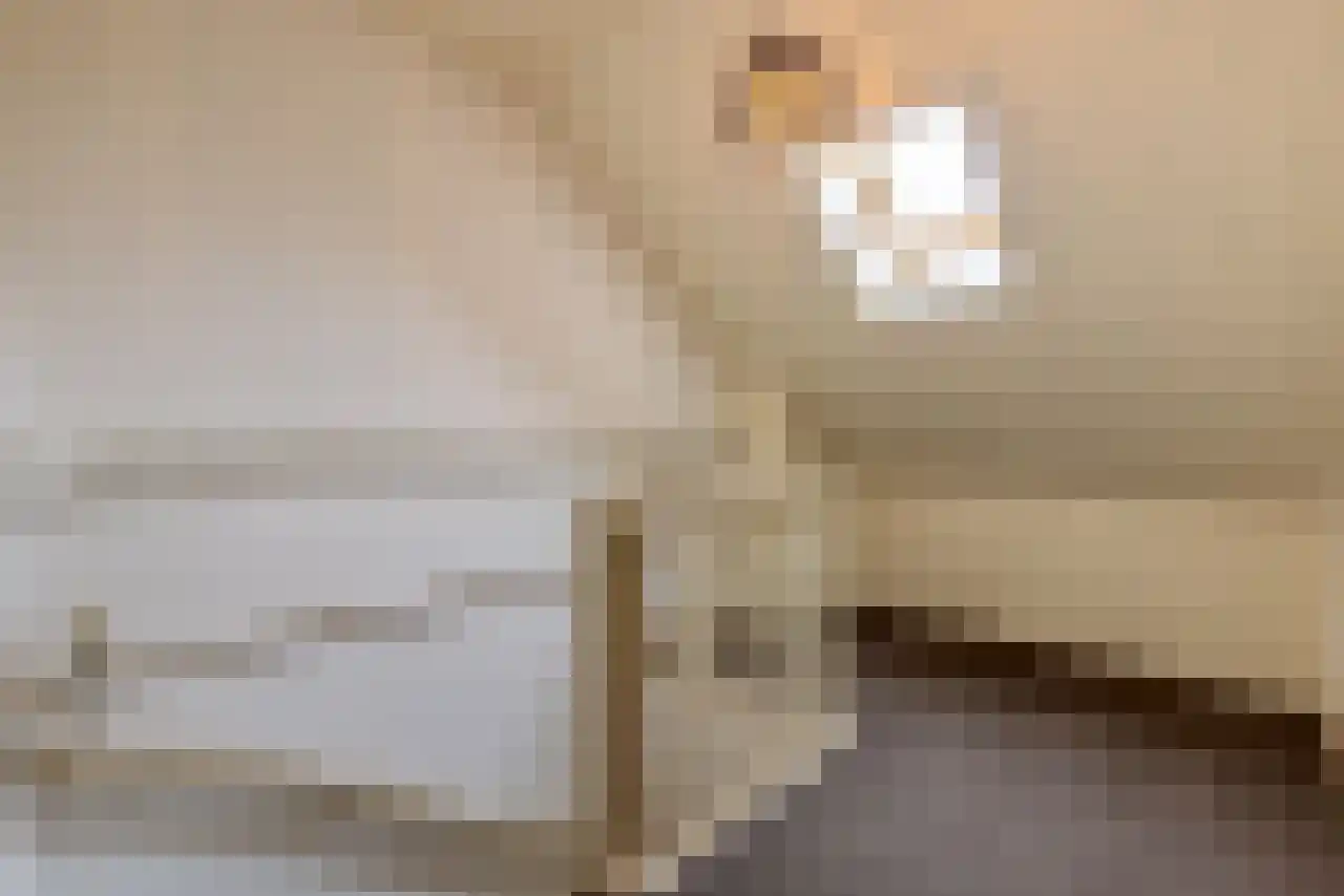 Homoetstraat 38 Doornenburg thumbnail 38