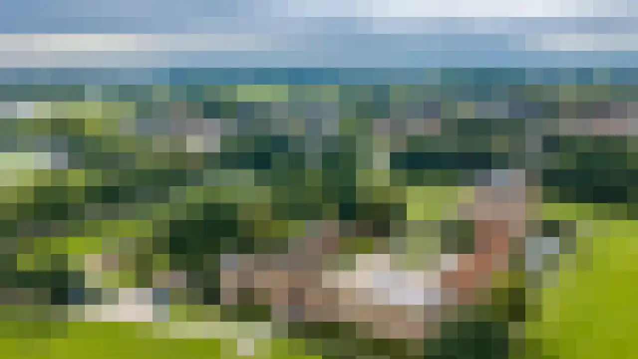 Homoetstraat 38 Doornenburg thumbnail 42