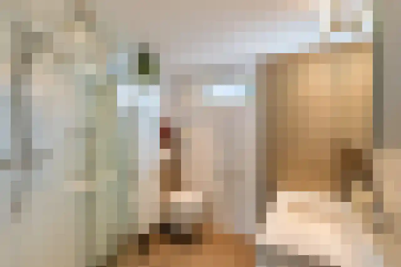 Homoetstraat 38 Doornenburg thumbnail 5