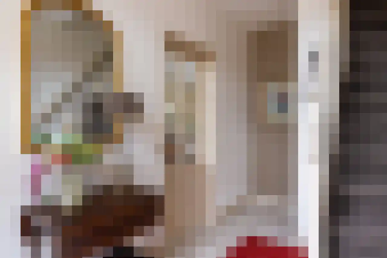 Homoetstraat 38 Doornenburg thumbnail 9