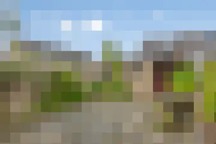 Homoetstraat 44 Doornenburg thumbnail 27
