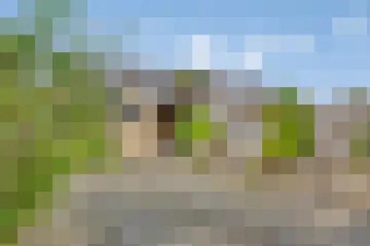 Homoetstraat 44 Doornenburg thumbnail 28