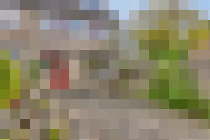 Homoetstraat 44 Doornenburg thumbnail 29