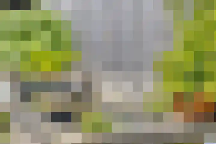 Homoetstraat 44 Doornenburg thumbnail 31
