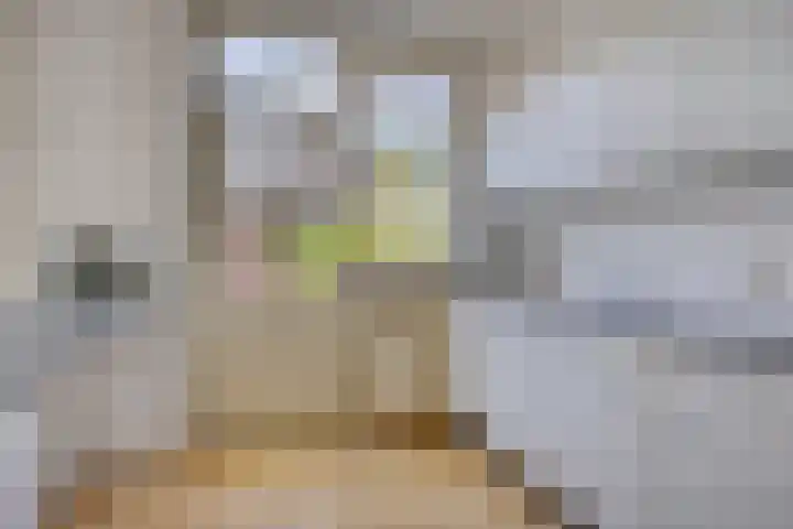 Homoetstraat 44 Doornenburg thumbnail 9