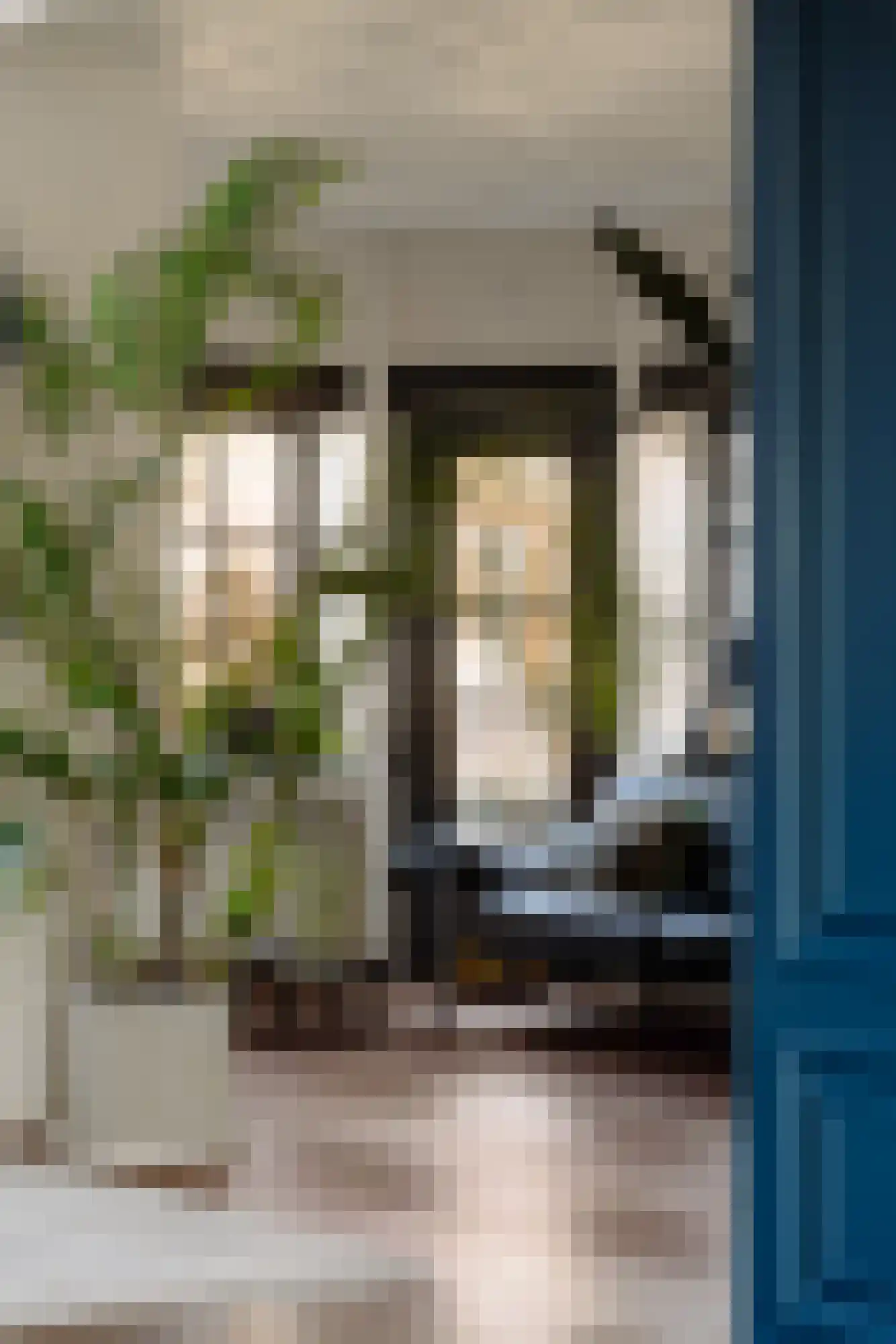 Hondecoeterstraat 2 B Amsterdam thumbnail 11