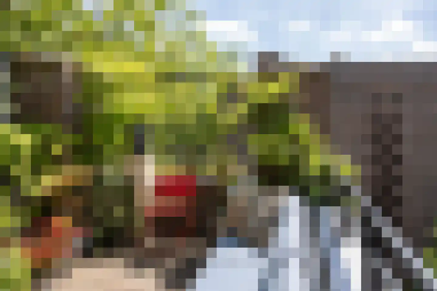 Hondecoeterstraat 2 C Amsterdam thumbnail 25