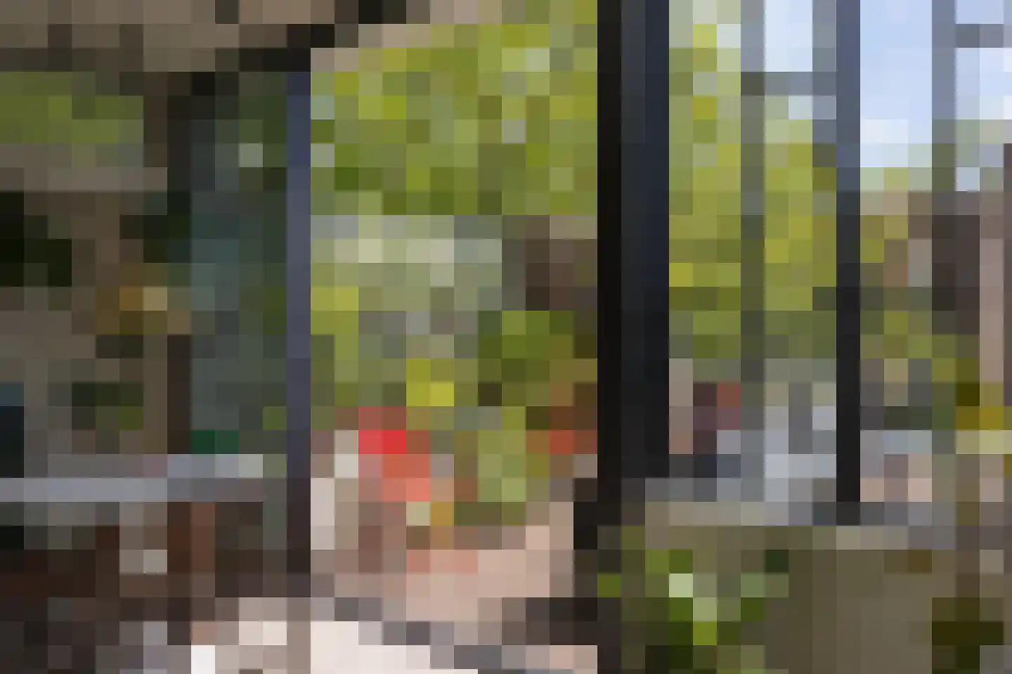 Hondecoeterstraat 2 C Amsterdam thumbnail 26