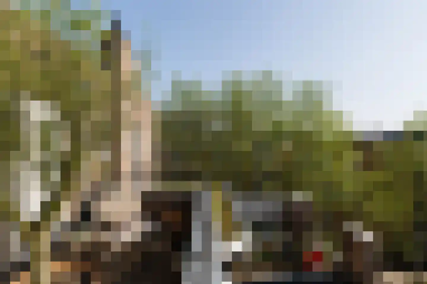 Hondecoeterstraat 2 C Amsterdam thumbnail 33