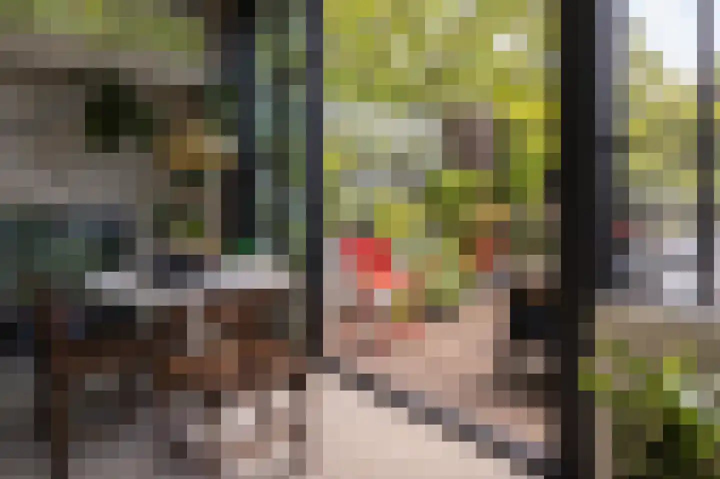 Hondecoeterstraat 2 C Amsterdam thumbnail 5