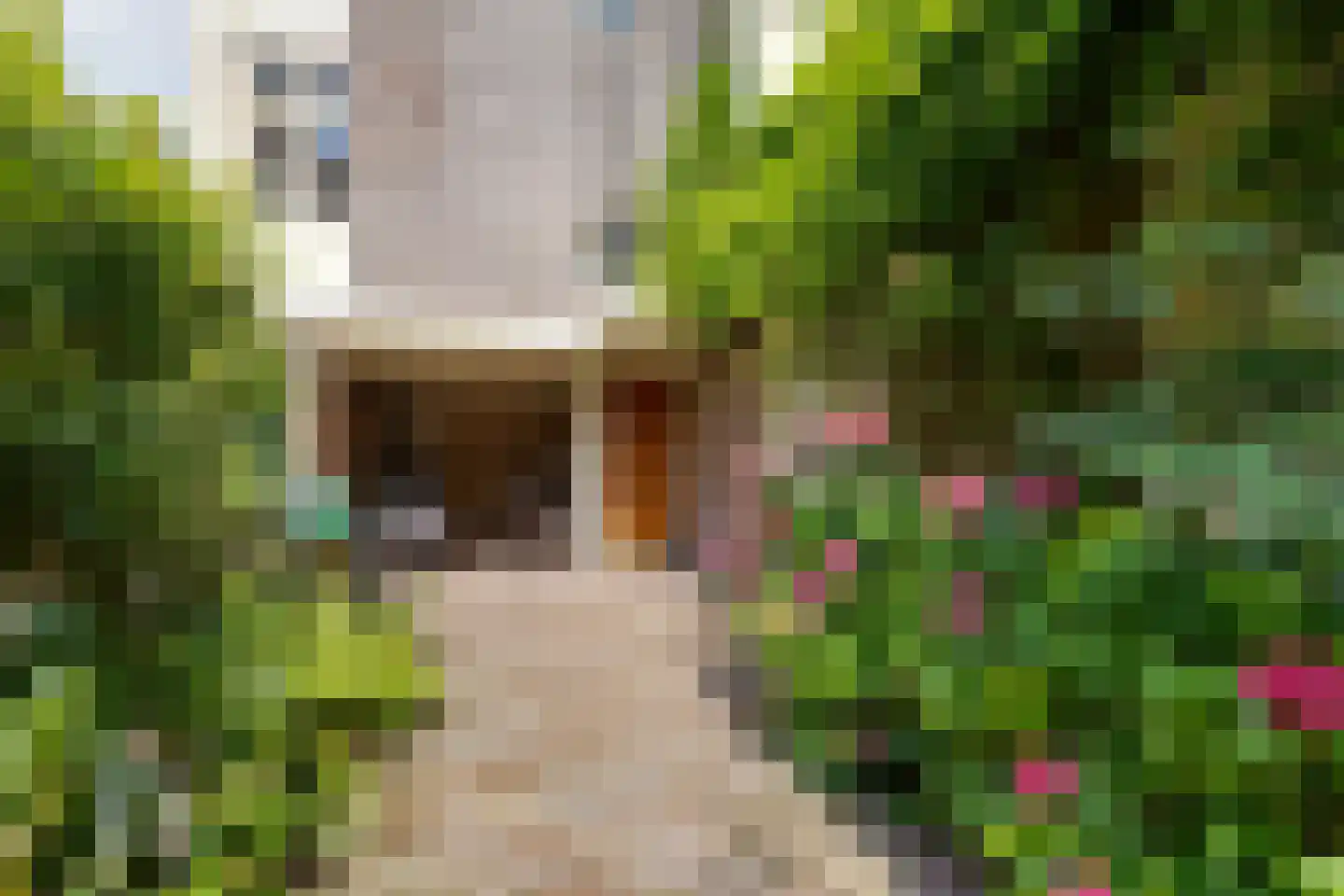 Hondecoeterstraat 4 1 Amsterdam thumbnail 4