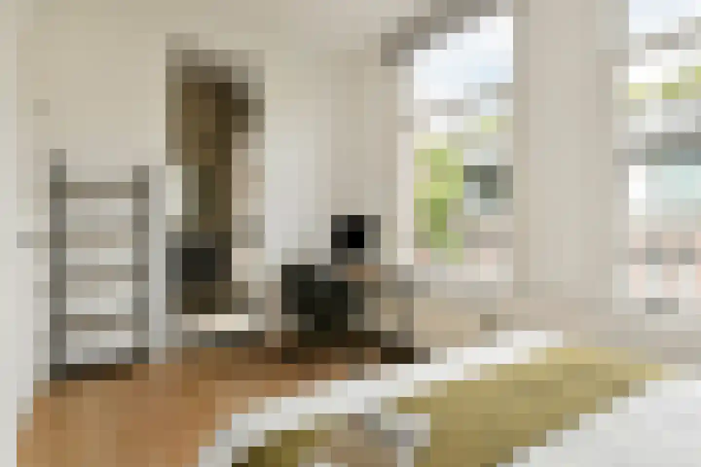 Hondecoeterstraat 5 A Amsterdam thumbnail 28