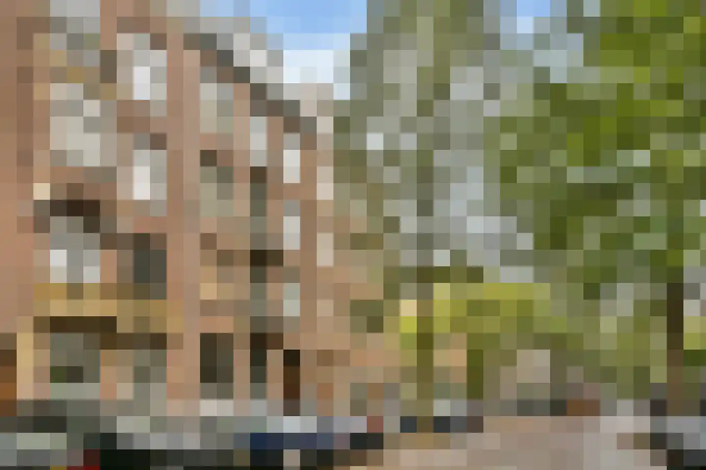 Hondecoeterstraat 5 A Amsterdam foto 3