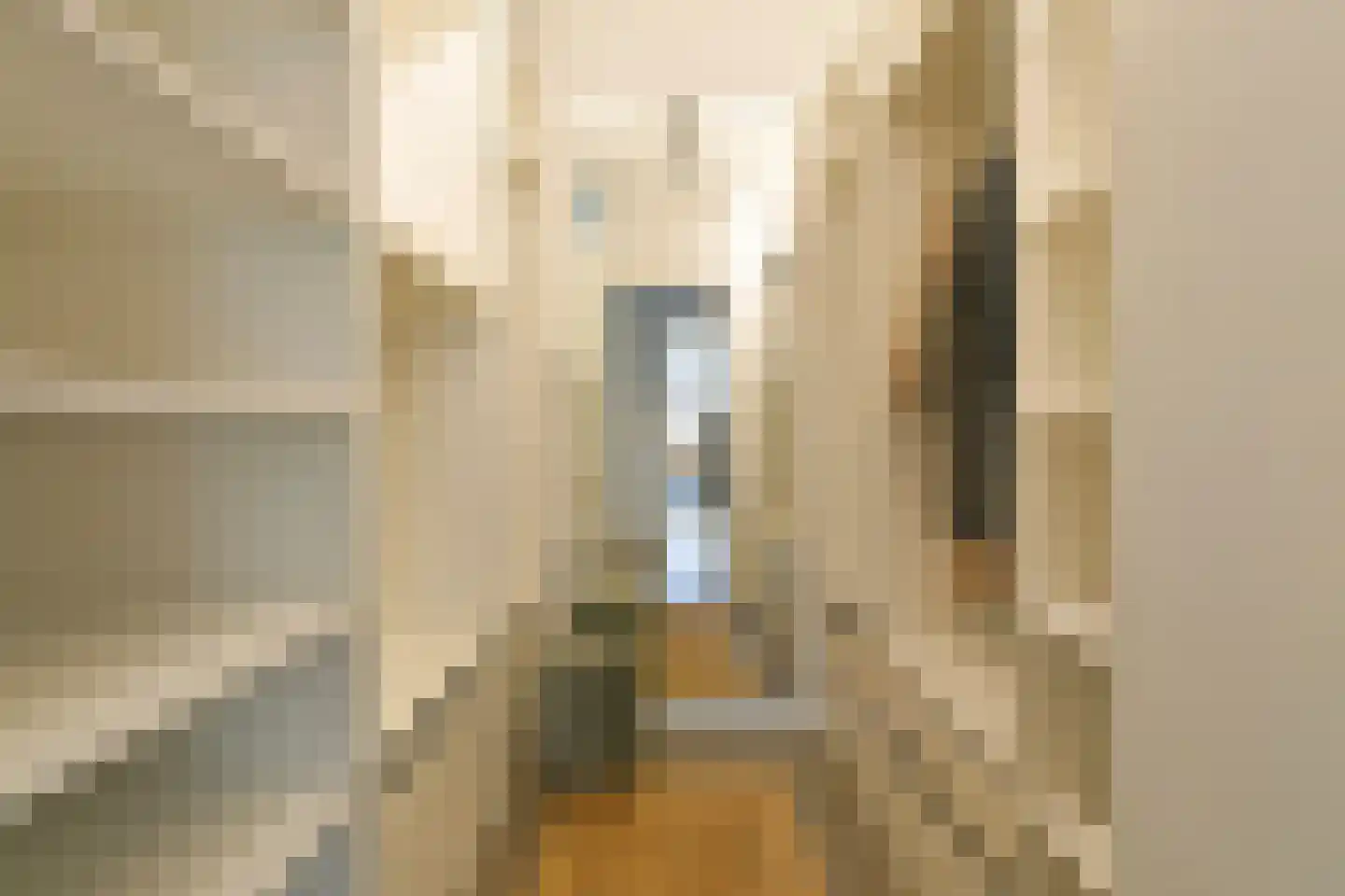 Hondecoeterstraat 5 A Amsterdam thumbnail 37