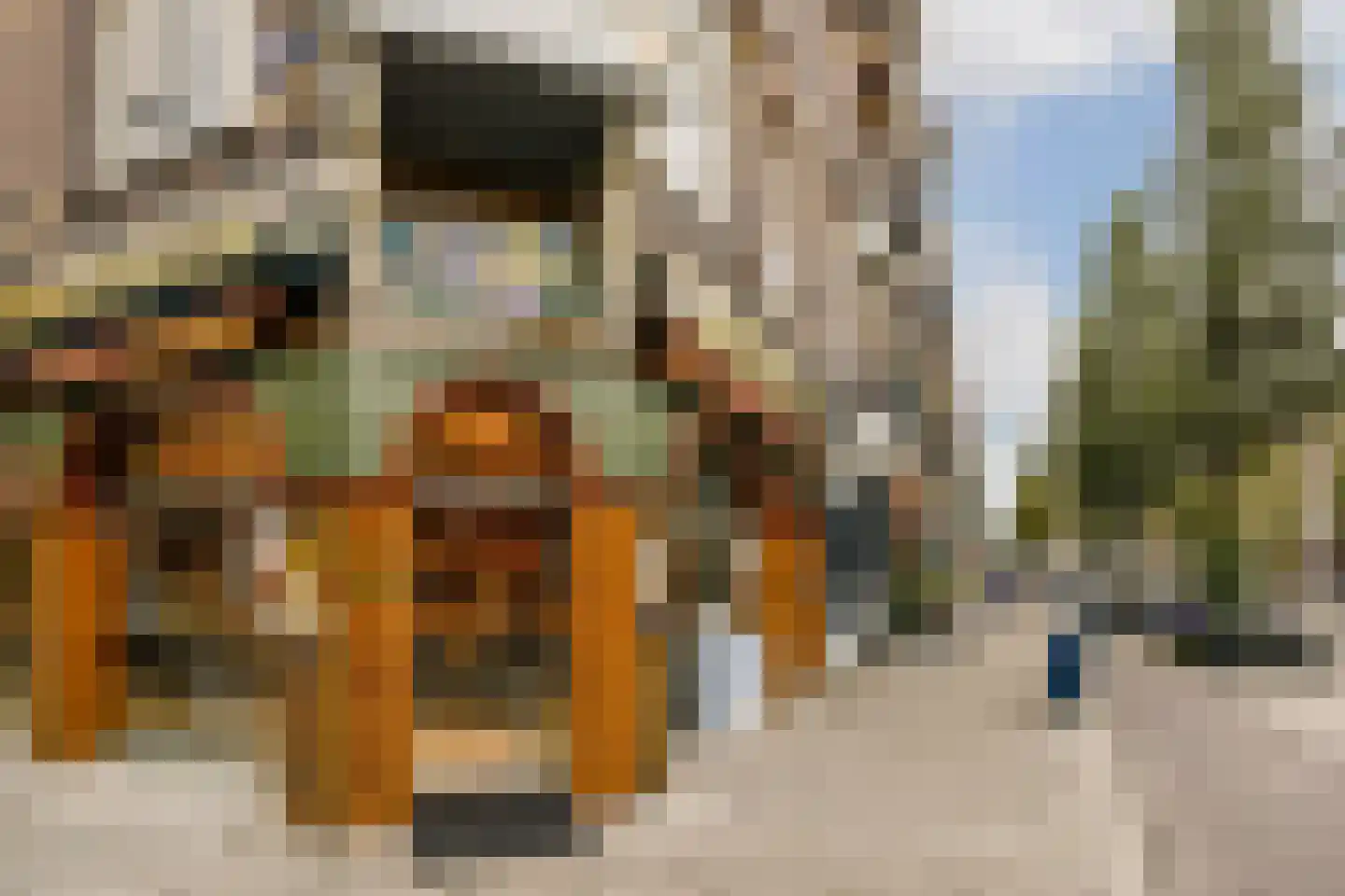 Hondecoeterstraat 5 A Amsterdam thumbnail 38
