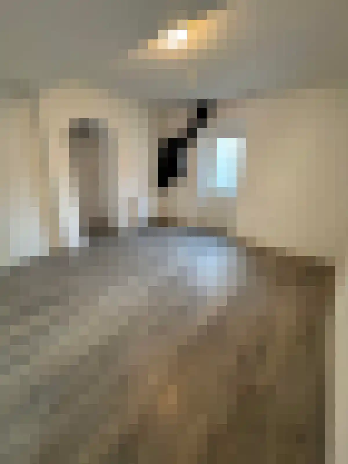 Hondegatstraat 11 Harderwijk thumbnail 6