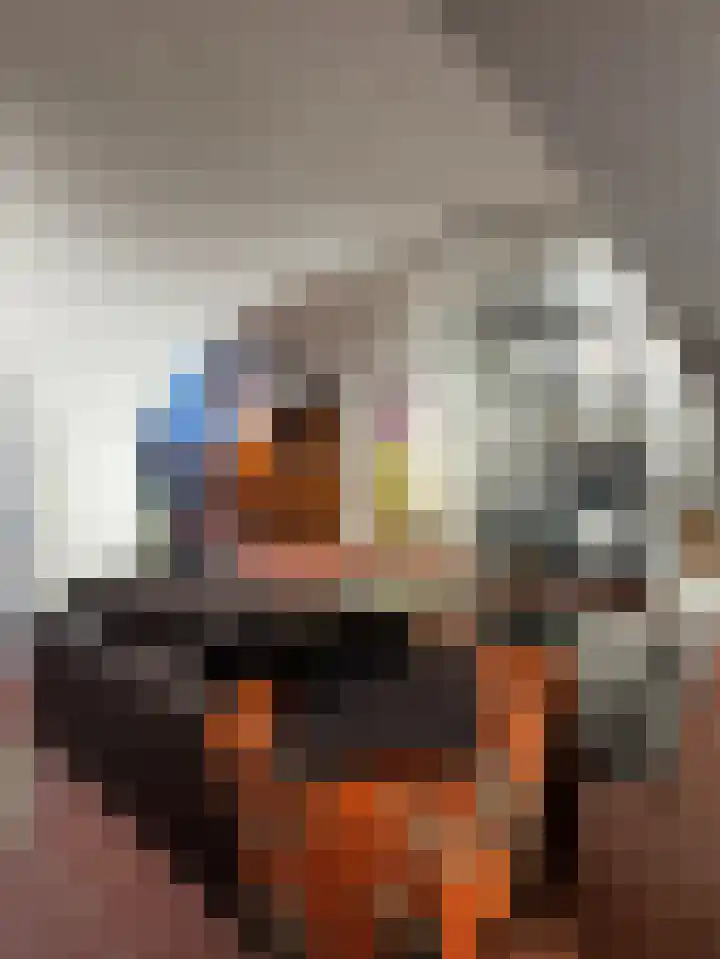 Hondegatstraat 12 Harderwijk thumbnail 12