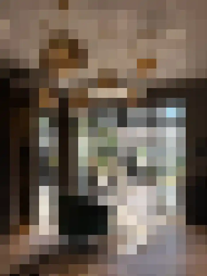Hondegatstraat 12 Harderwijk thumbnail 14