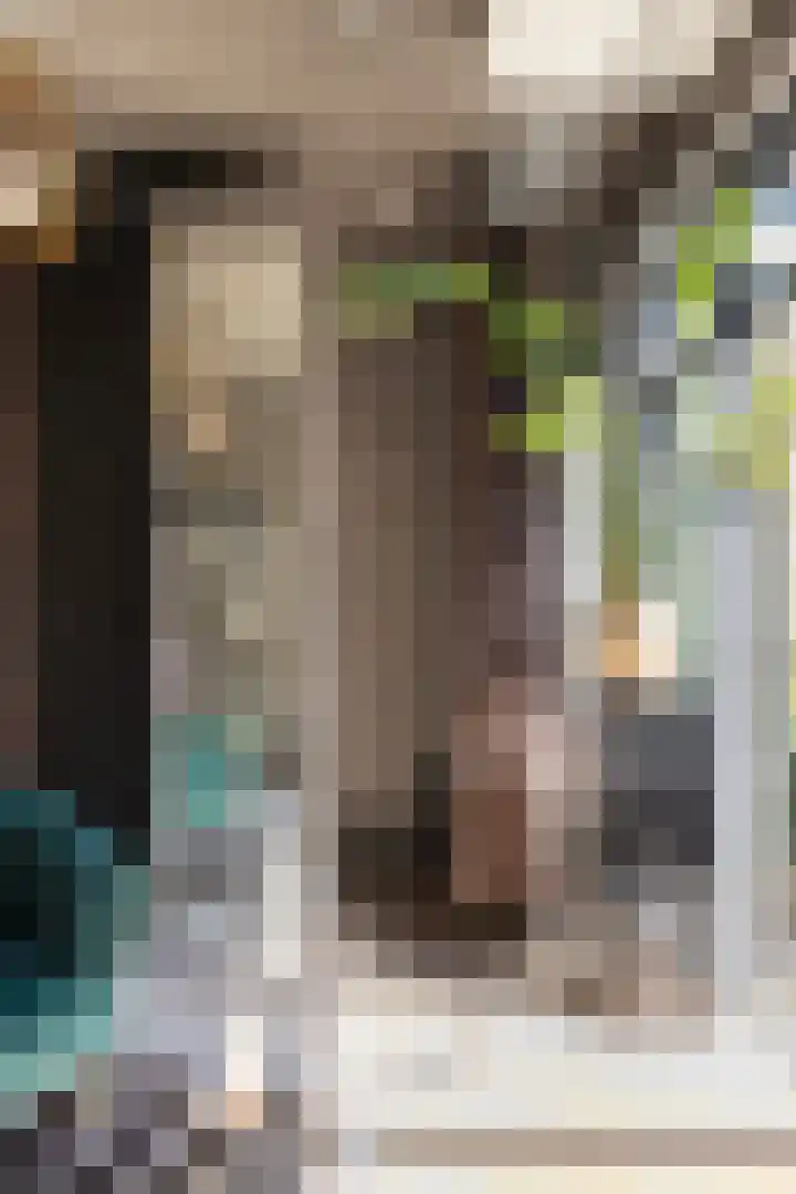 Hondegatstraat 12 Harderwijk thumbnail 15