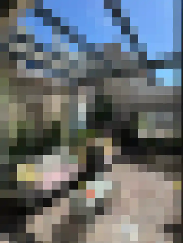 Hondegatstraat 12 Harderwijk thumbnail 16