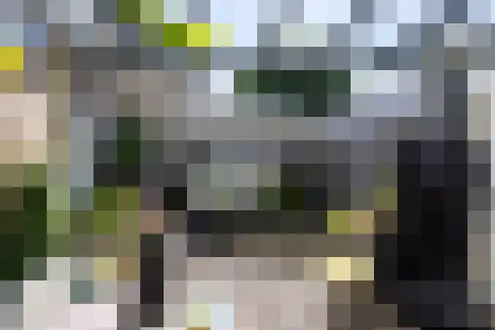 Hondegatstraat 12 Harderwijk thumbnail 17