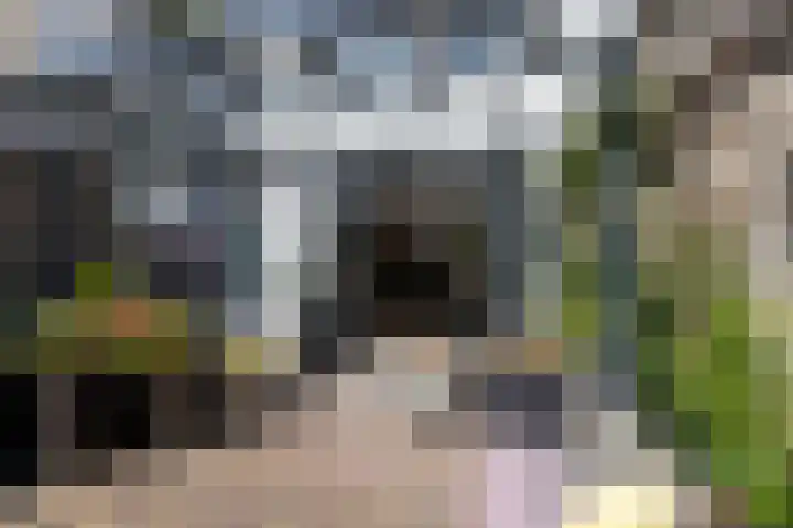 Hondegatstraat 12 Harderwijk thumbnail 18