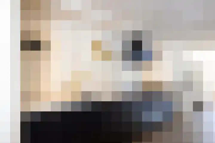 Hondegatstraat 12 Harderwijk thumbnail 22