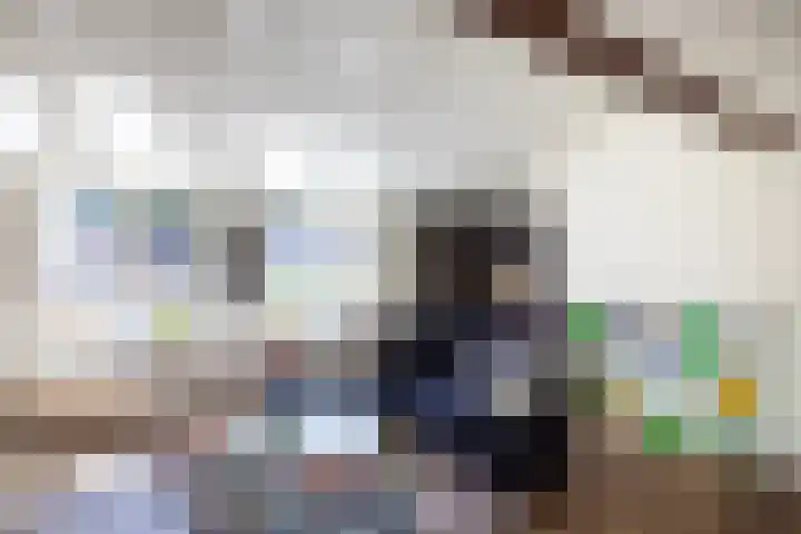 Hondegatstraat 12 Harderwijk thumbnail 26