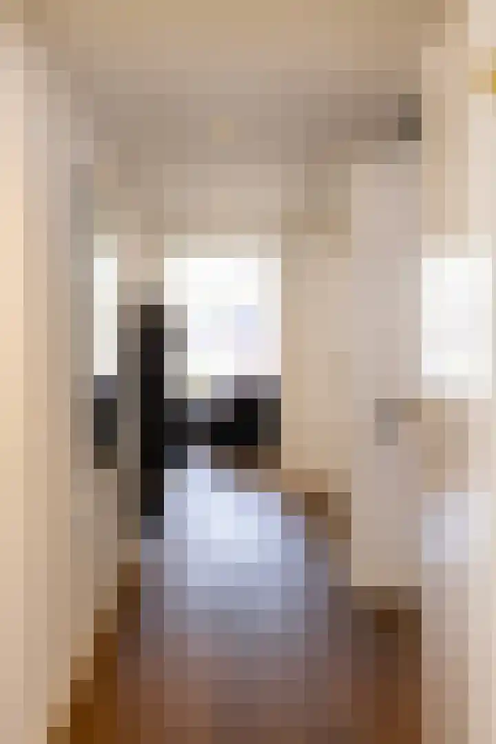 Hondegatstraat 12 Harderwijk thumbnail 28