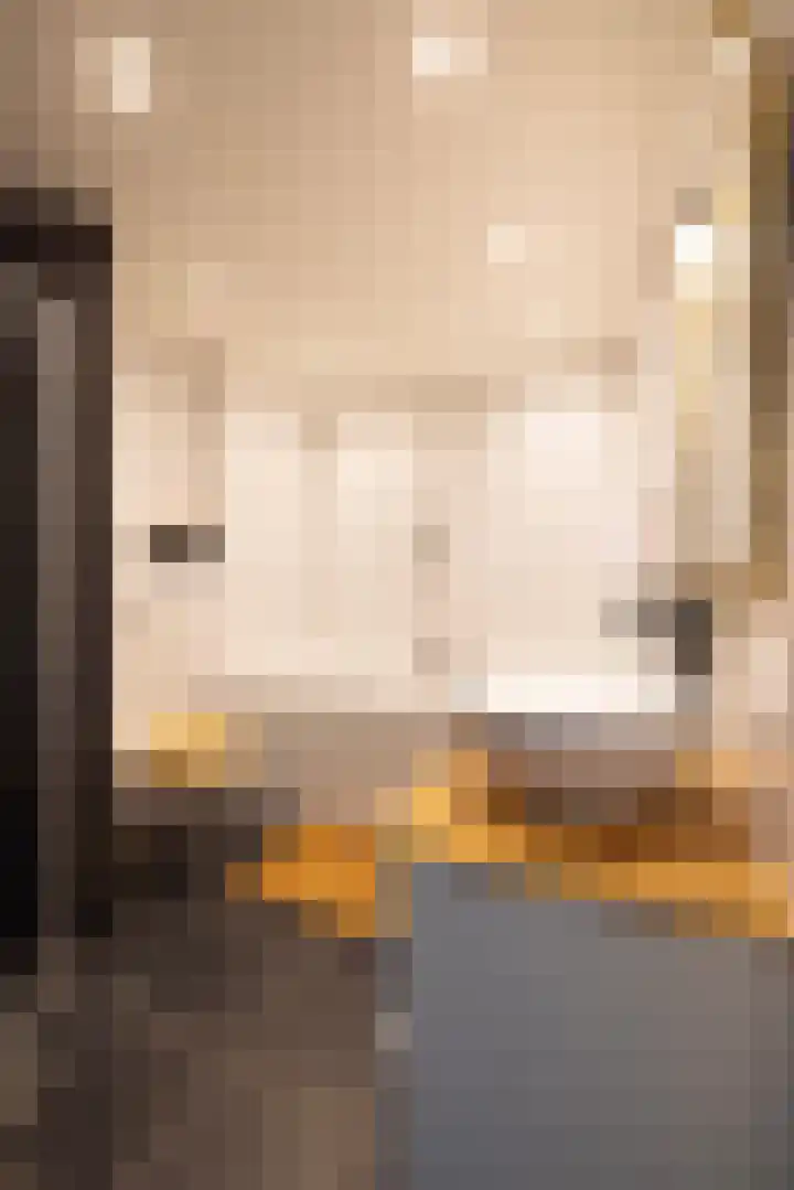 Hondegatstraat 12 Harderwijk thumbnail 33